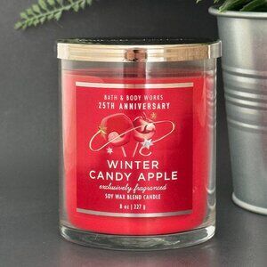 BBW Winter Candy Apple Bath & Body Works Single Wick Candle